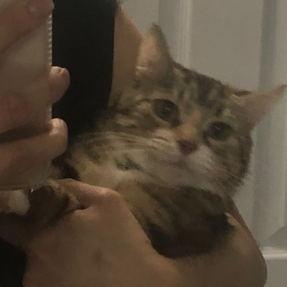 Meet your Posher, Ms. lily